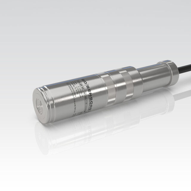 Detachable level probe LMP 308