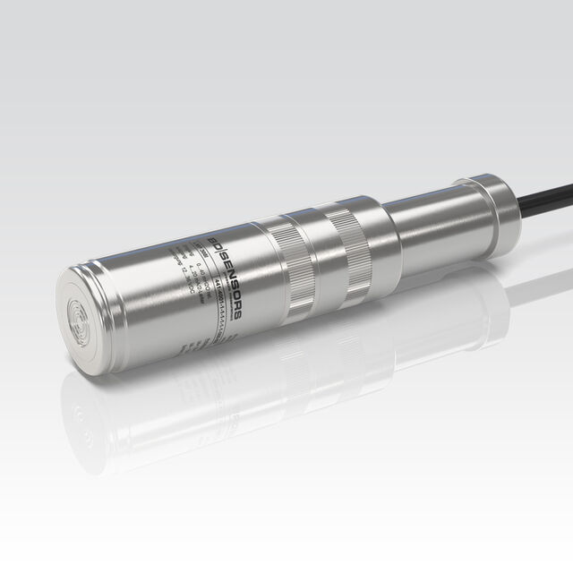 detachable level probe LMP 308i