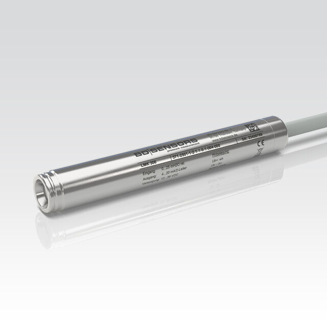 level probe LMK 306 slimline